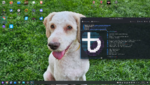 Screenshot_20260615_143720.png