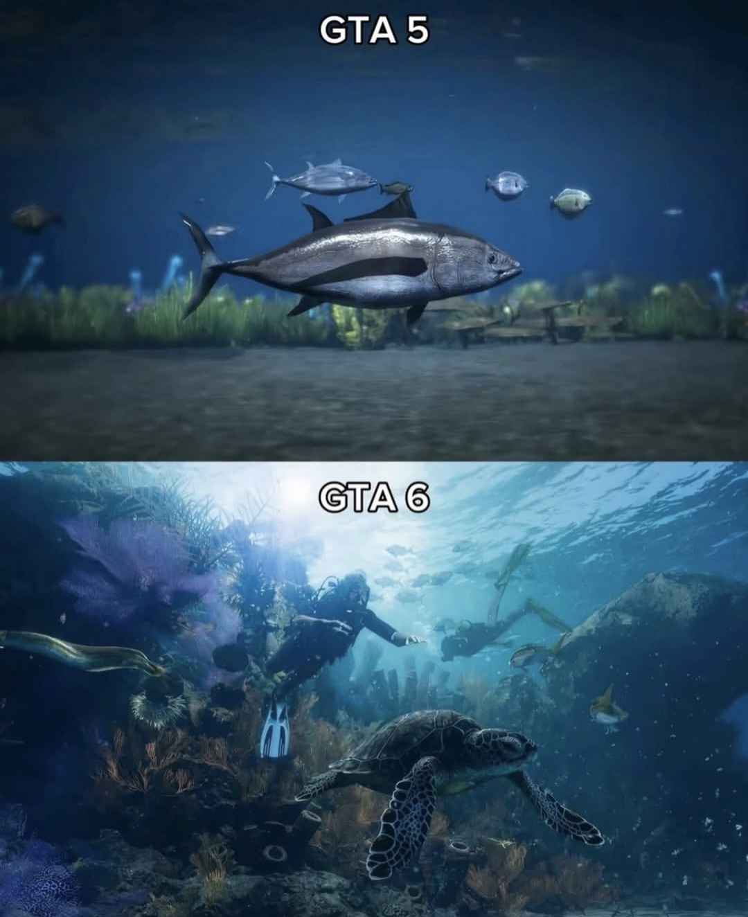 67068