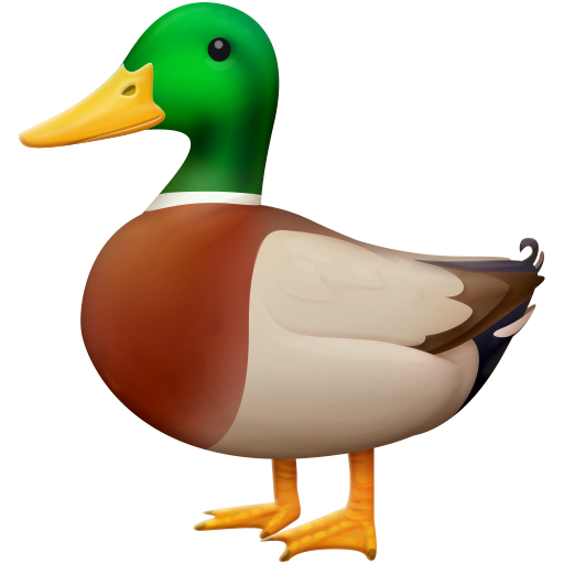 68109