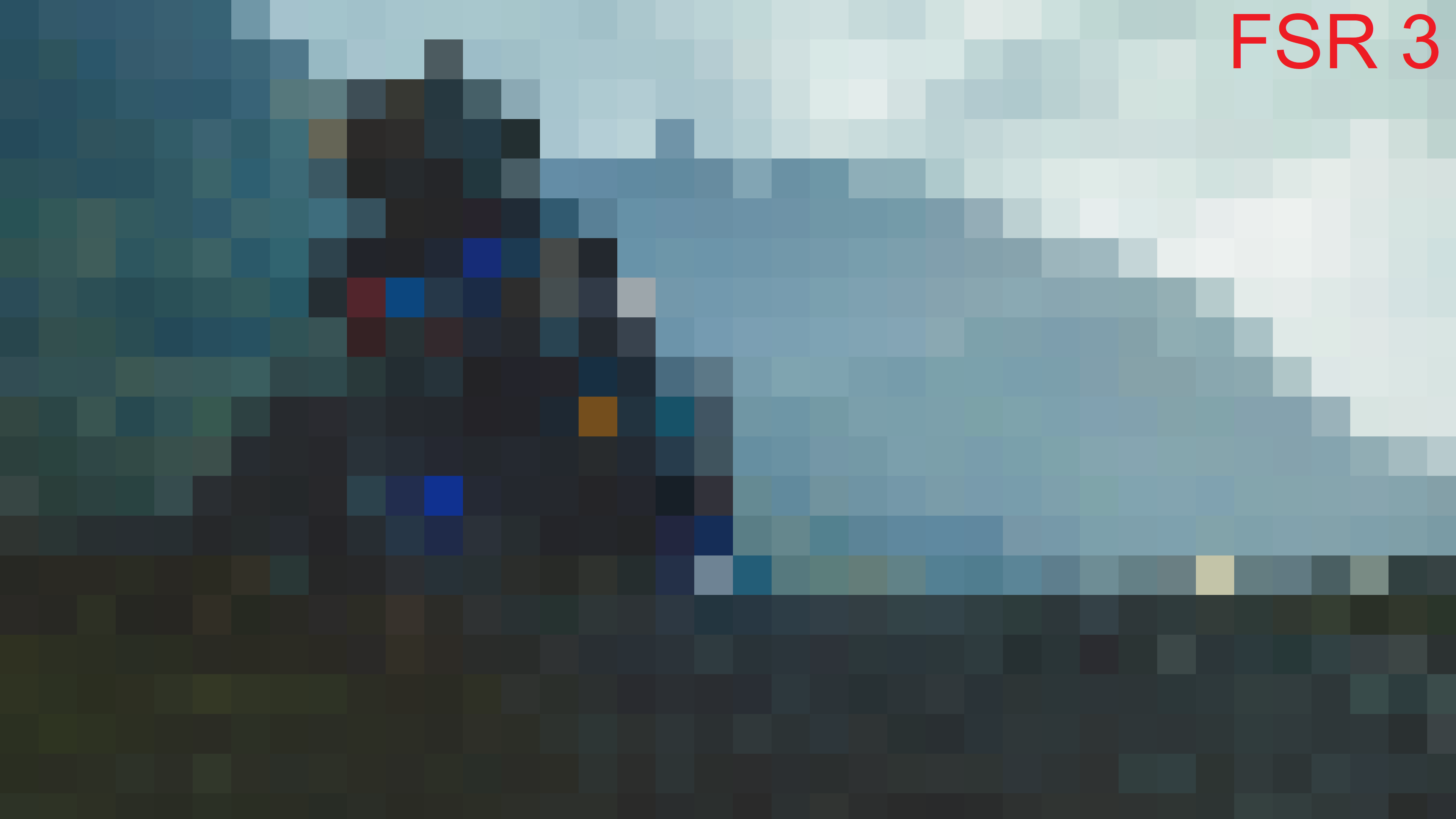 67317
