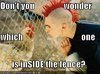 funny-pictures-rooster-punk-fence.jpg