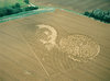 51-Sparsholt-nr-Winchester-Hampshire-Wheat-15-08-02-OH-MFA3.jpg