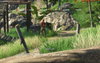 farcry3_d3d11_2012_12_05_17_01_47_104.jpg