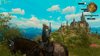 witcher3_2016_06_02_19_45_54_695.jpg