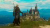 witcher3_2016_06_02_19_56_52_887.jpg