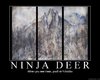 ninja-deer-poster16313755.jpg