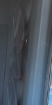 Screenshot 2025-07-21 12-44-12.png
