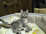 IMG_20250824_200911.jpg