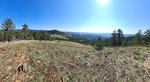 20250913_105316.jpg
