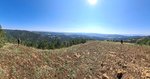 20250913_113524.jpg