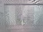 1758261253403478637851444291648.jpg