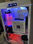 IMG_1886.jpeg