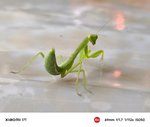 IMG_20260713_183632.jpg