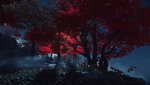 Ghost of Tsushima_20260913235745.jpg