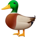 duck_1f986.png