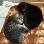 IMG_20261016_155041.jpg