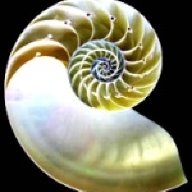 Nautilus