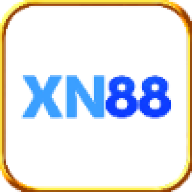Xn881net1
