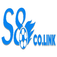 S8colink