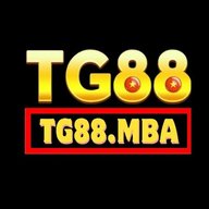 tg88mba