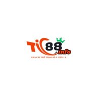 tic88info