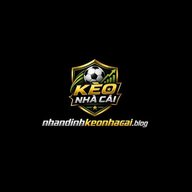 nhandinhkeonhacaiblog