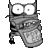 ceo dan