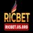 Ricbetusorg