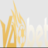 Vaobetrucom1