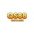 qs88official11