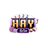 haywincv9