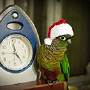 steamcommunity.com